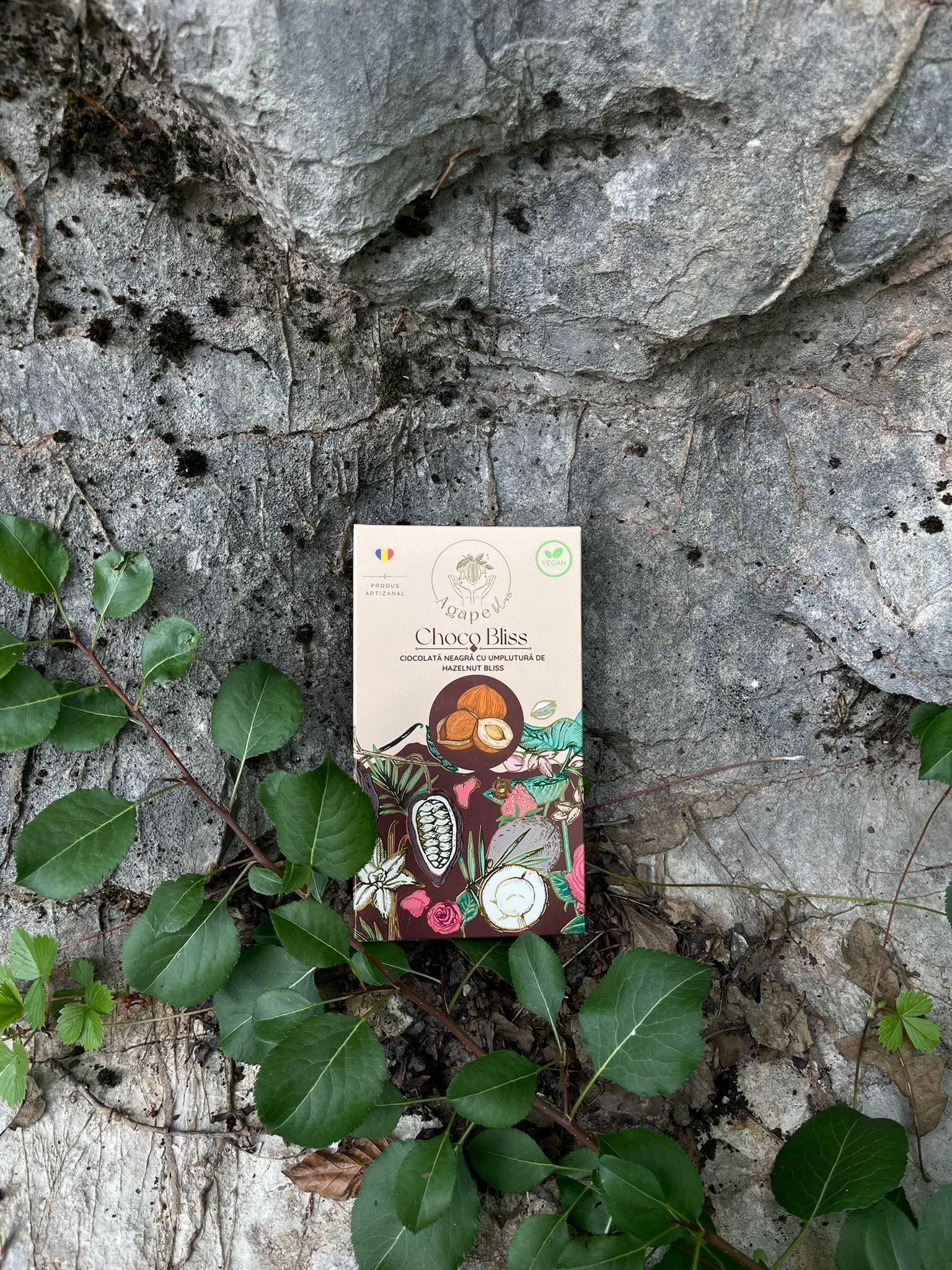 Choco Bliss – Ciocolată Neagra cu Umplutură de Hazelnut Bliss 110 gr